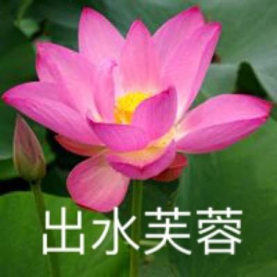 天道3d官方下载